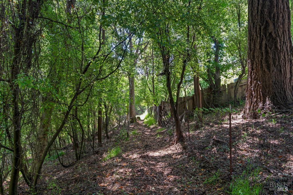 90 Laurel View Way Inverness CA 94937