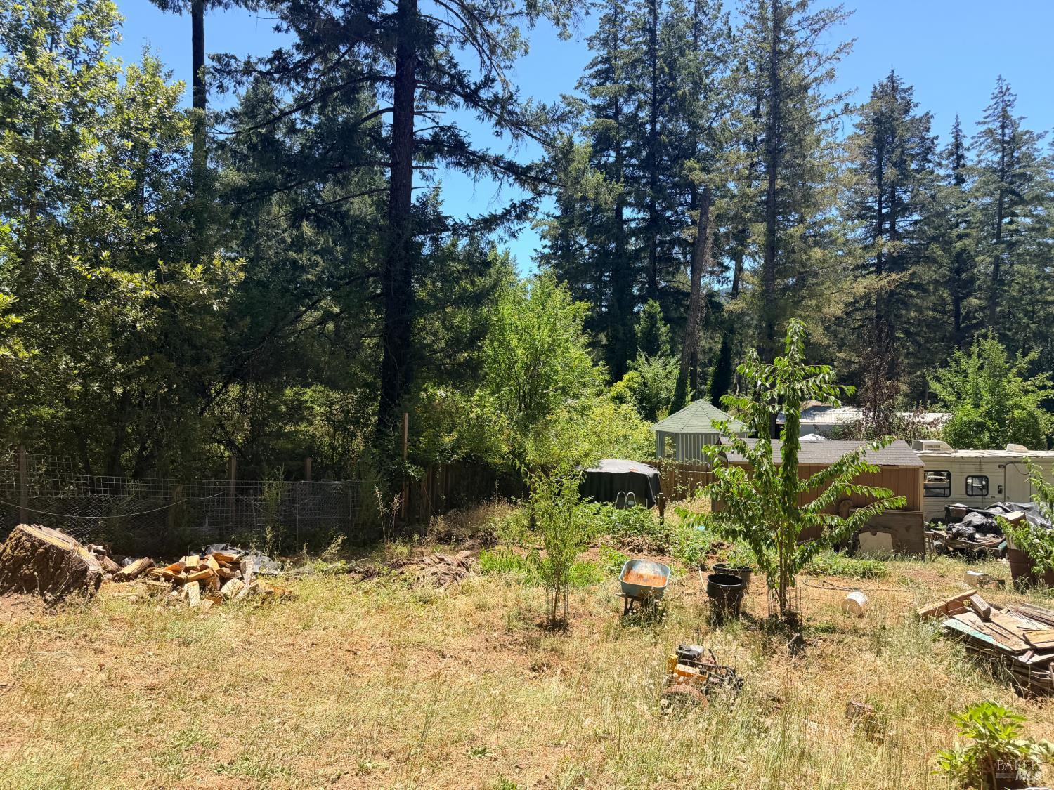 65341 Highway 271 Leggett CA 95585