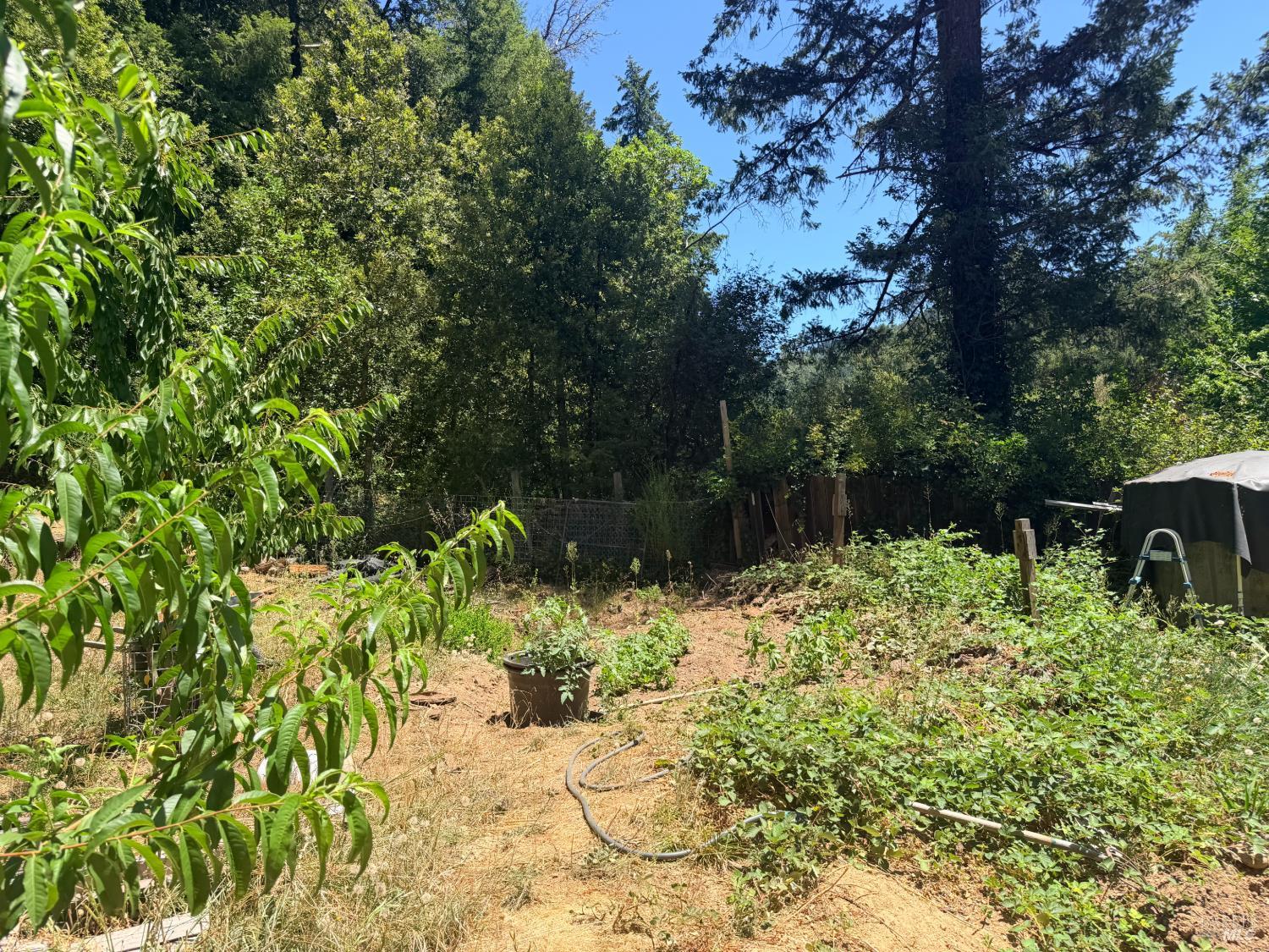 65341 Highway 271 Leggett CA 95585