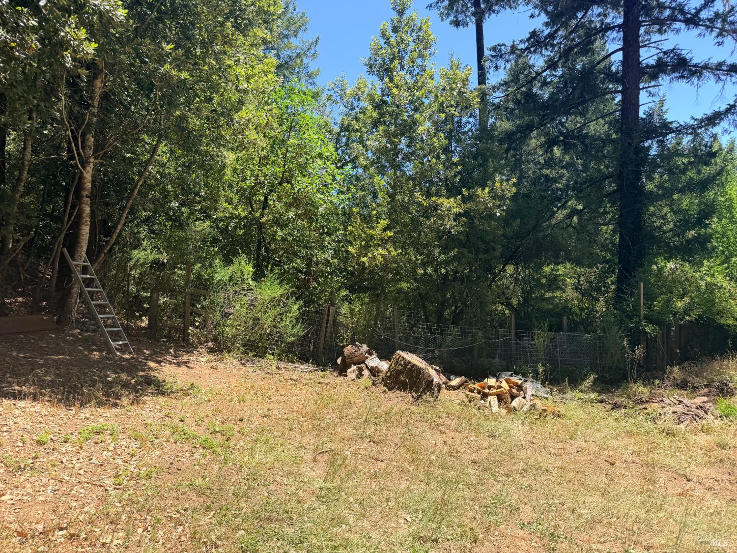 65341 Highway 271 Leggett CA 95585