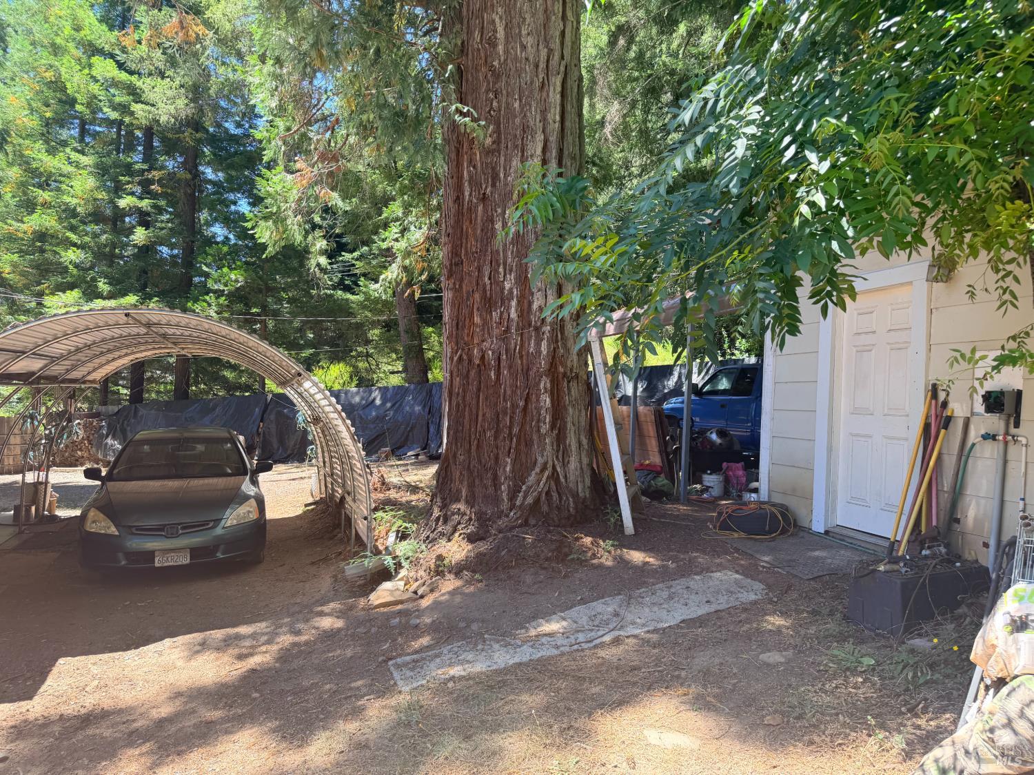 65341 Highway 271 Leggett CA 95585