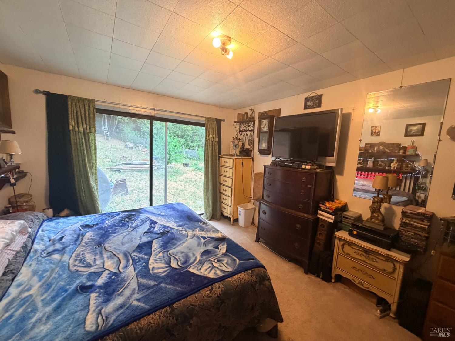 65341 Highway 271 Leggett CA 95585