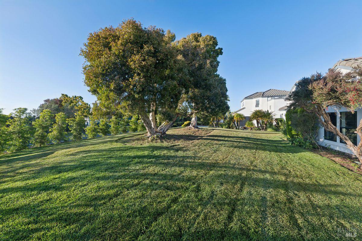 207 Taylor Road Tiburon CA 94920