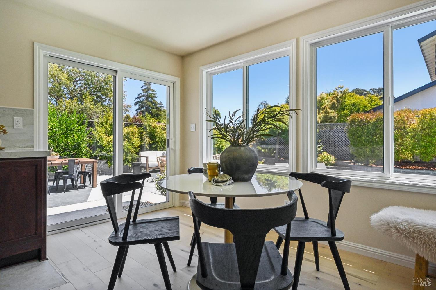 258 San Carlos Way Novato CA 94945