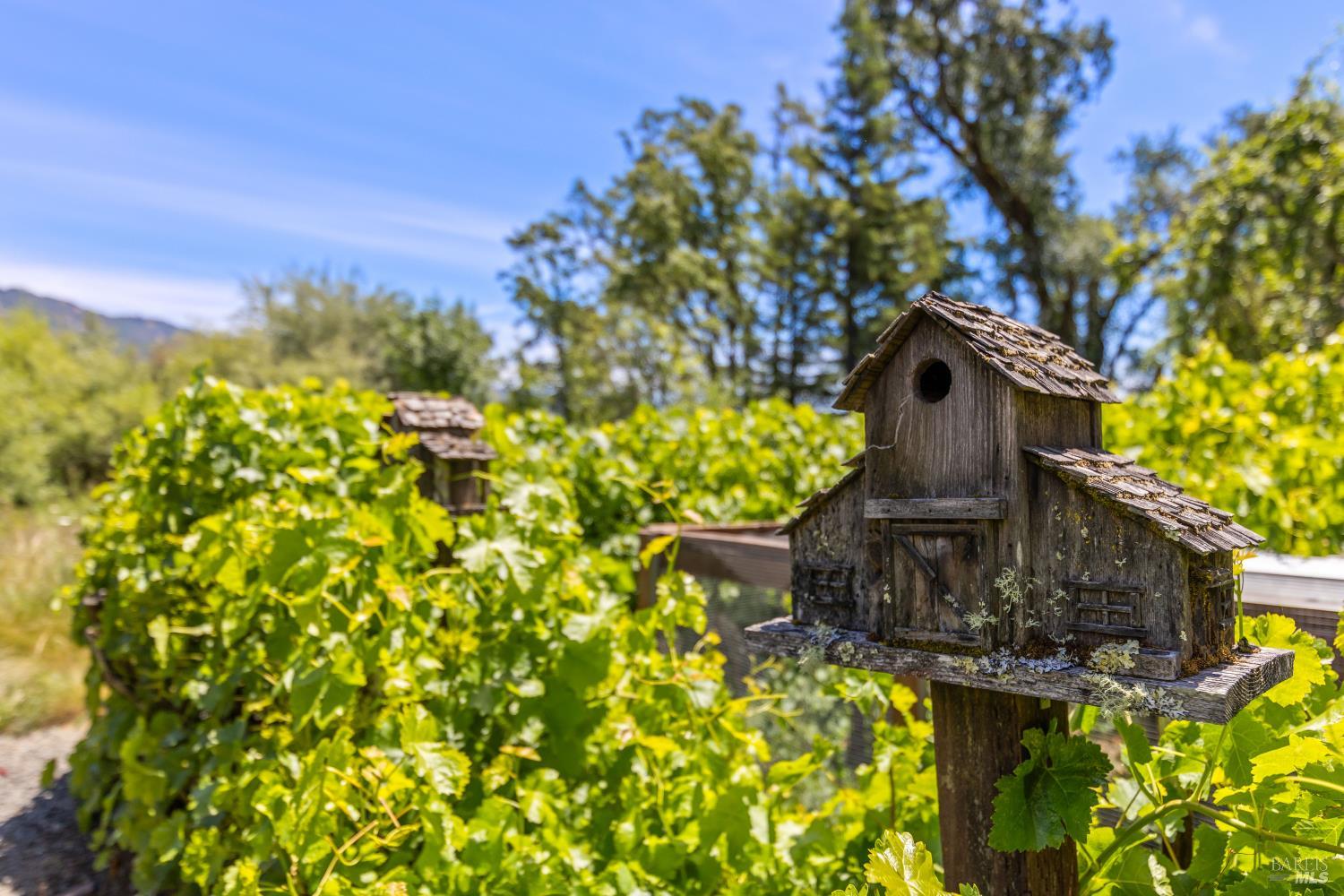 13511 Powerhouse Road Potter Valley CA 95469