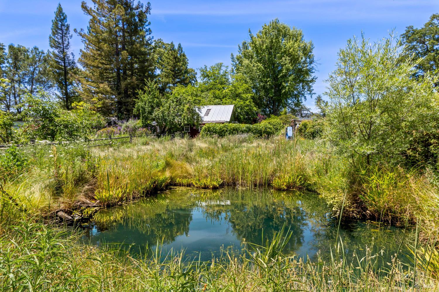 13511 Powerhouse Road Potter Valley CA 95469