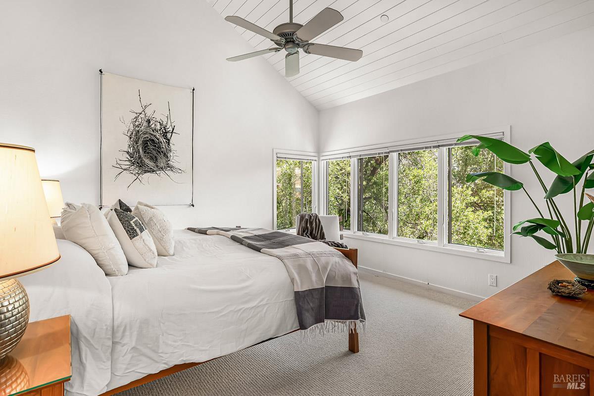 46 Miwok Drive San Anselmo CA 94960