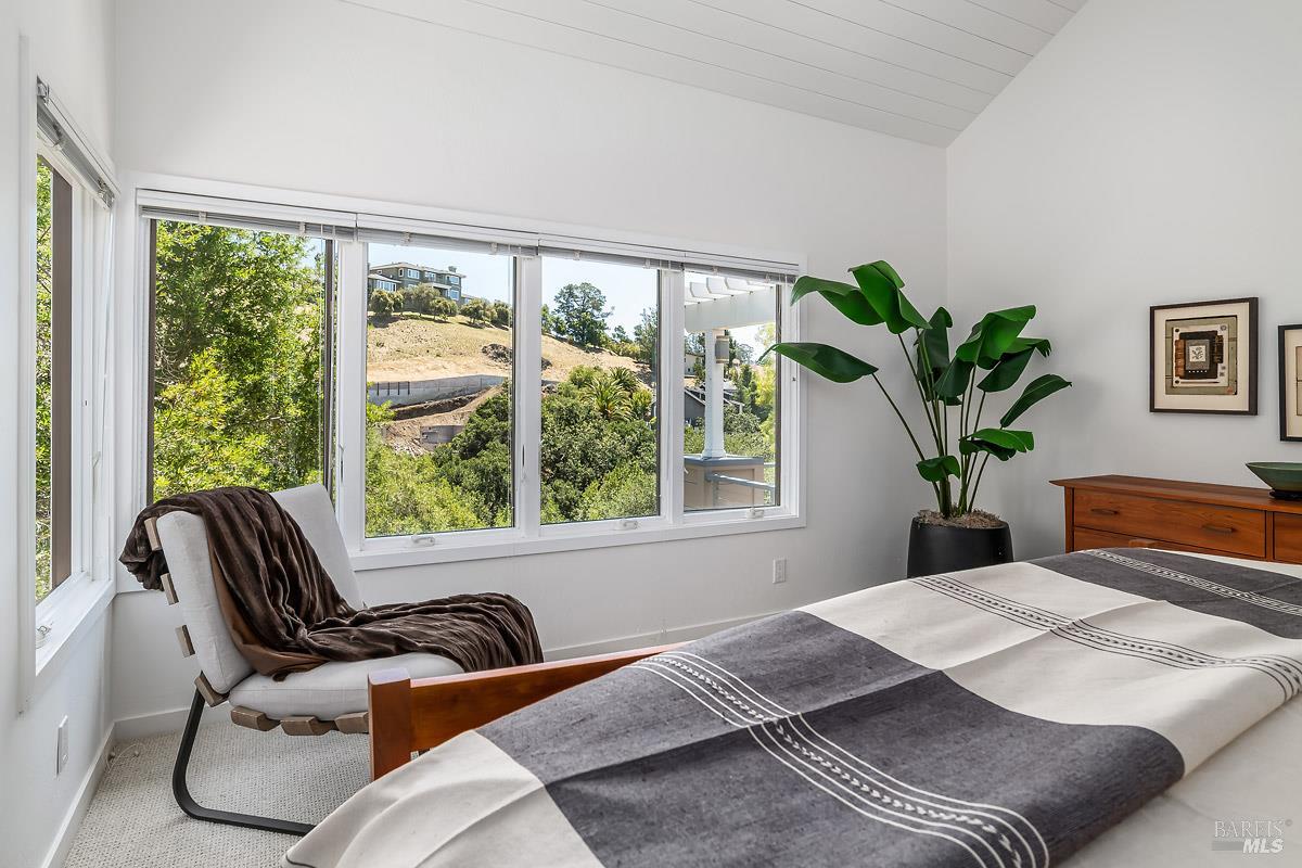 46 Miwok Drive San Anselmo CA 94960