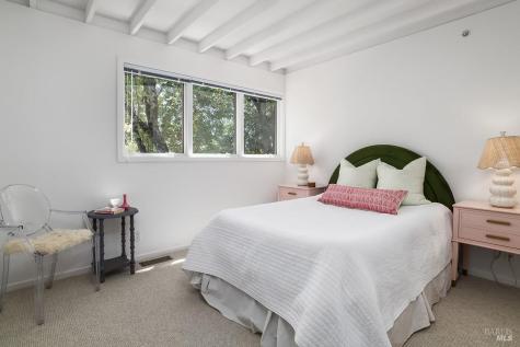 46 Miwok Drive San Anselmo CA 94960