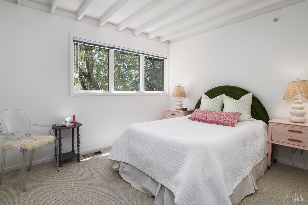46 Miwok Drive San Anselmo CA 94960