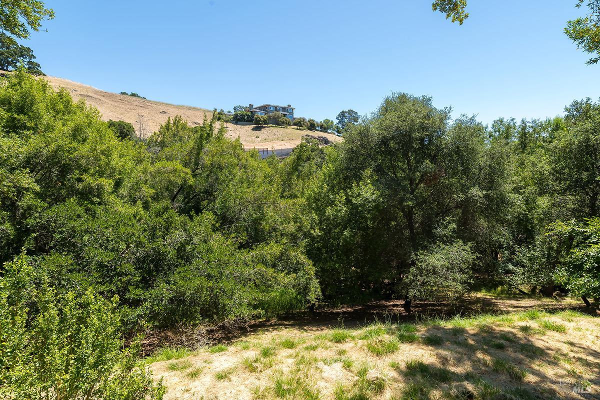 46 Miwok Drive San Anselmo CA 94960