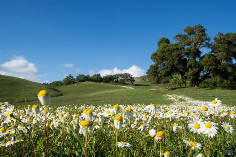 2700 Geysers Road Geyserville CA 95441