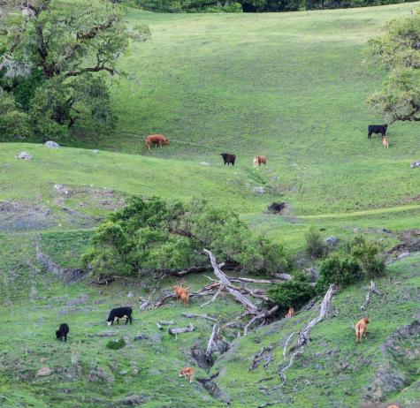 2700 Geysers Road Geyserville CA 95441