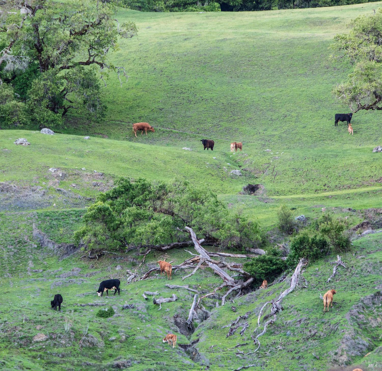 2700 Geysers Road Geyserville CA 95441