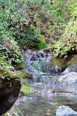 2700 Geysers Road Geyserville CA 95441