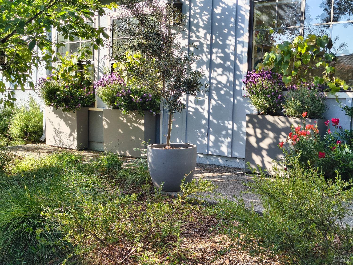 866 Princeton Drive Sonoma CA 95476