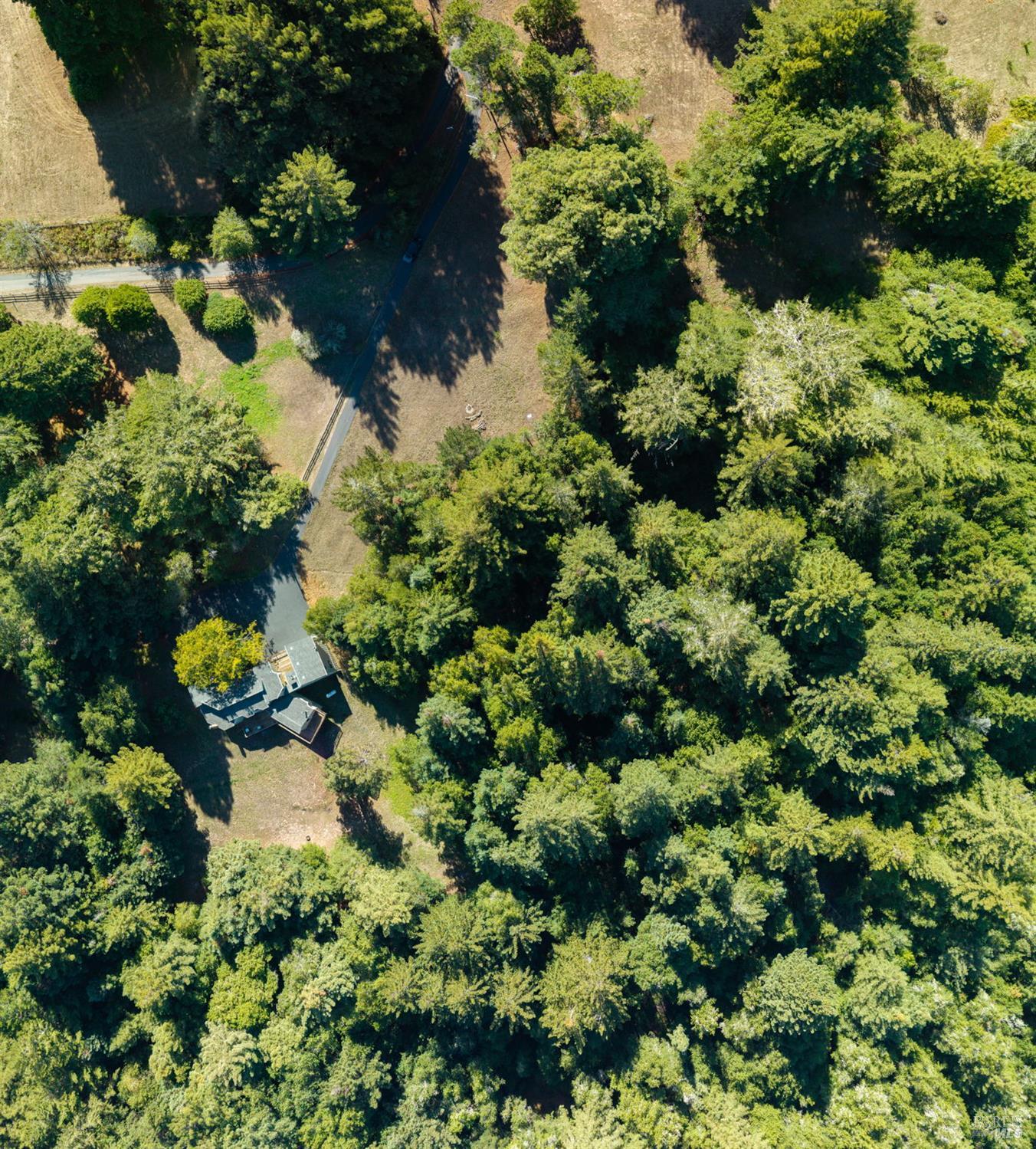 819 Jonive Road Sebastopol CA 95472
