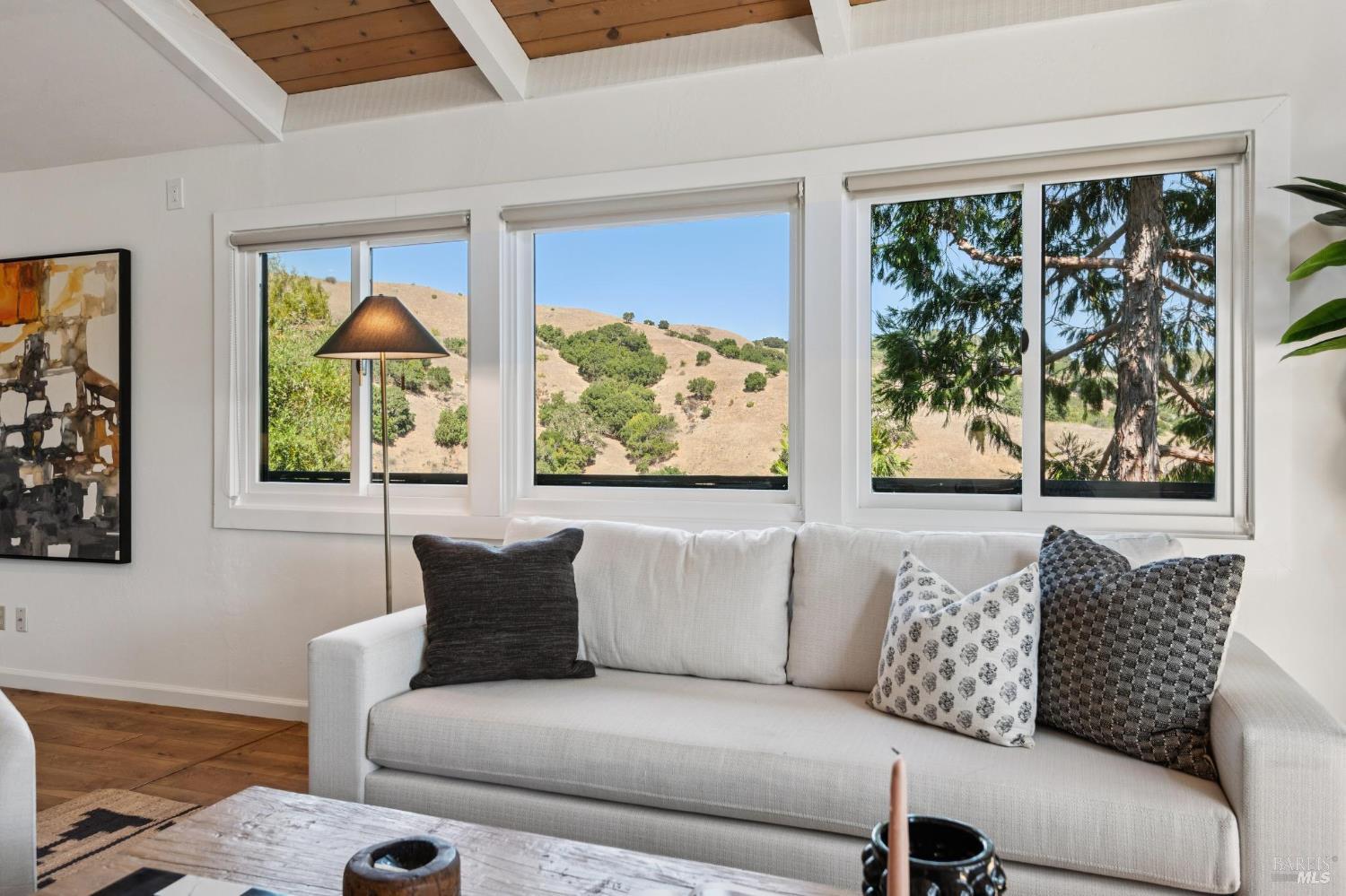 34 Tomahawk Drive San Anselmo CA 94960