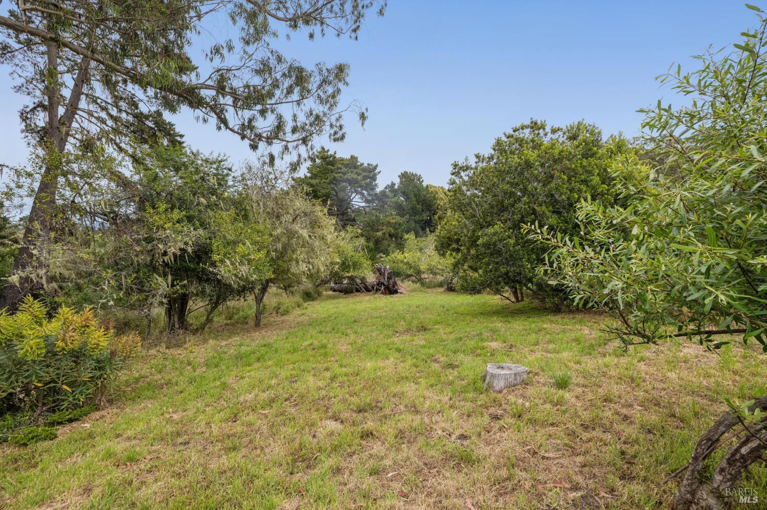 260 Kale Road Bolinas CA 94924