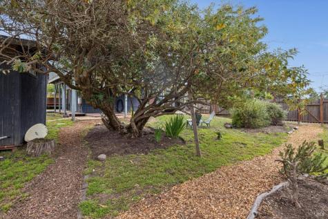 260 Kale Road Bolinas CA 94924