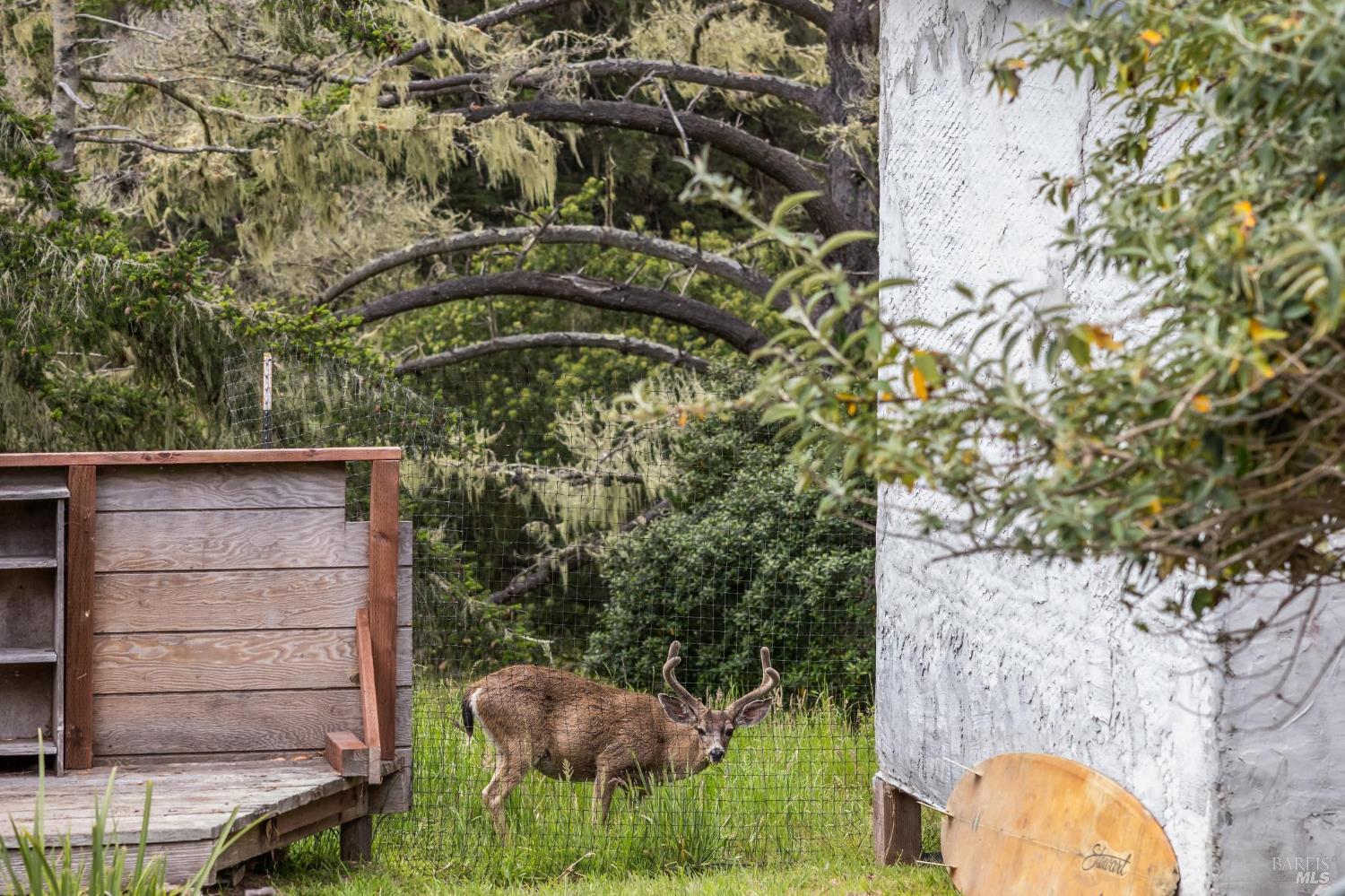 260 Kale Road Bolinas CA 94924