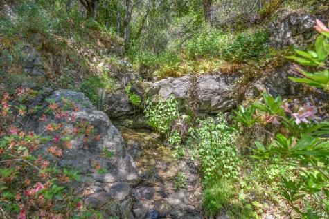 75 Lee Street Mill Valley CA 94941