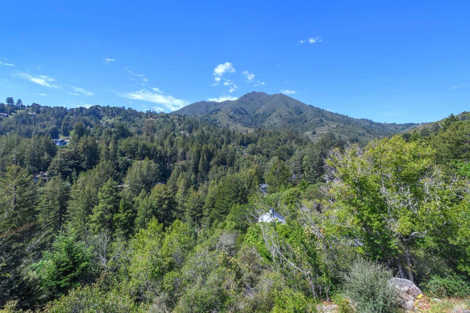 75 Lee Street Mill Valley CA 94941