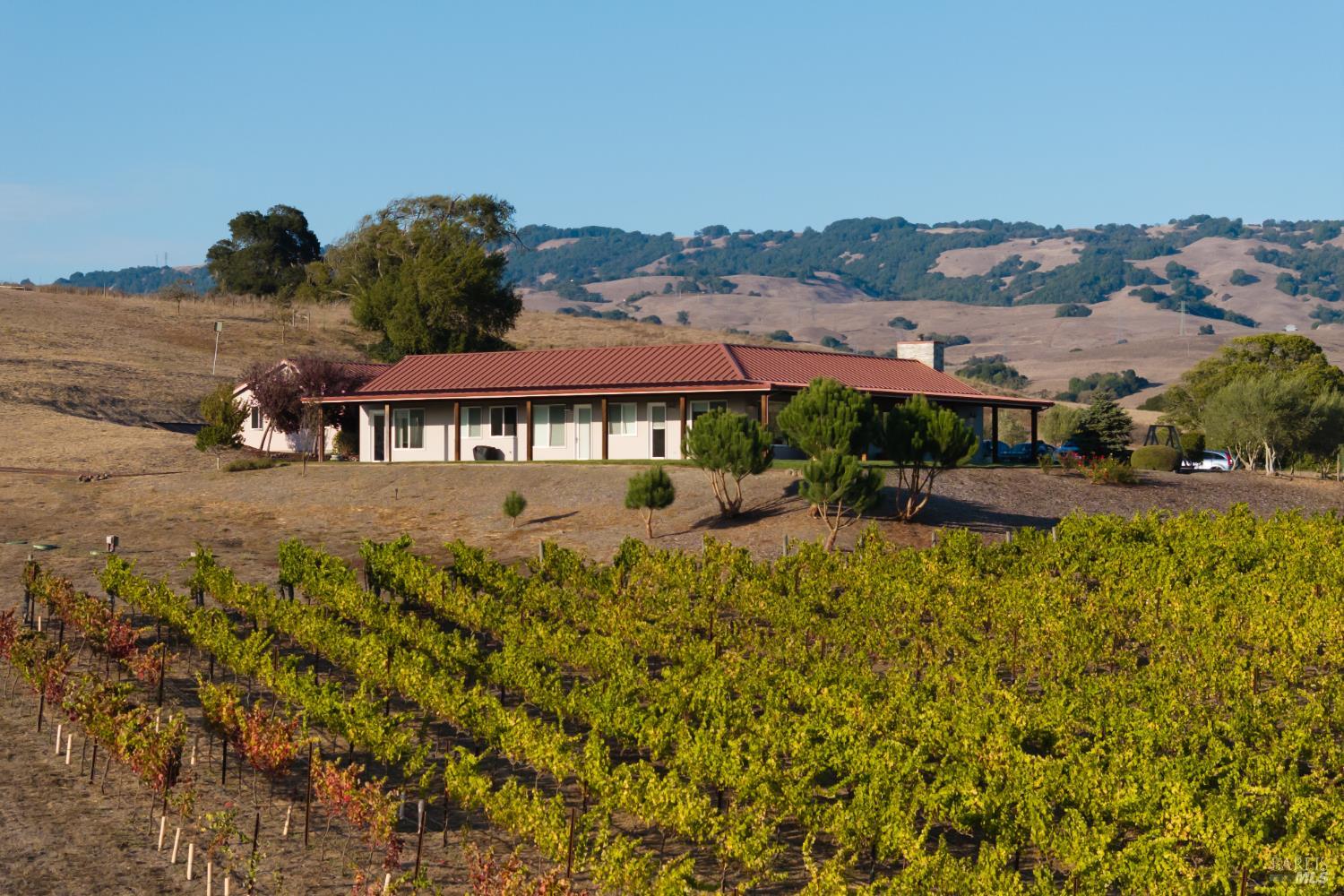 Petaluma CA 94954