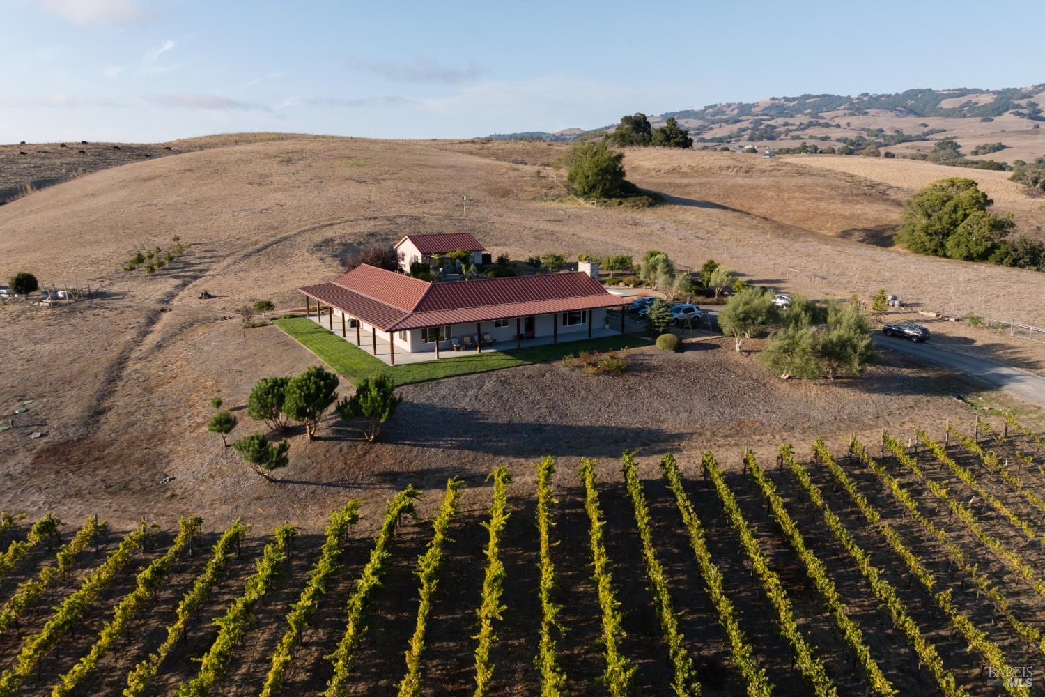 Petaluma CA 94954