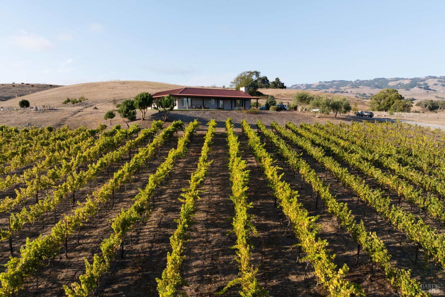 Petaluma CA 94954