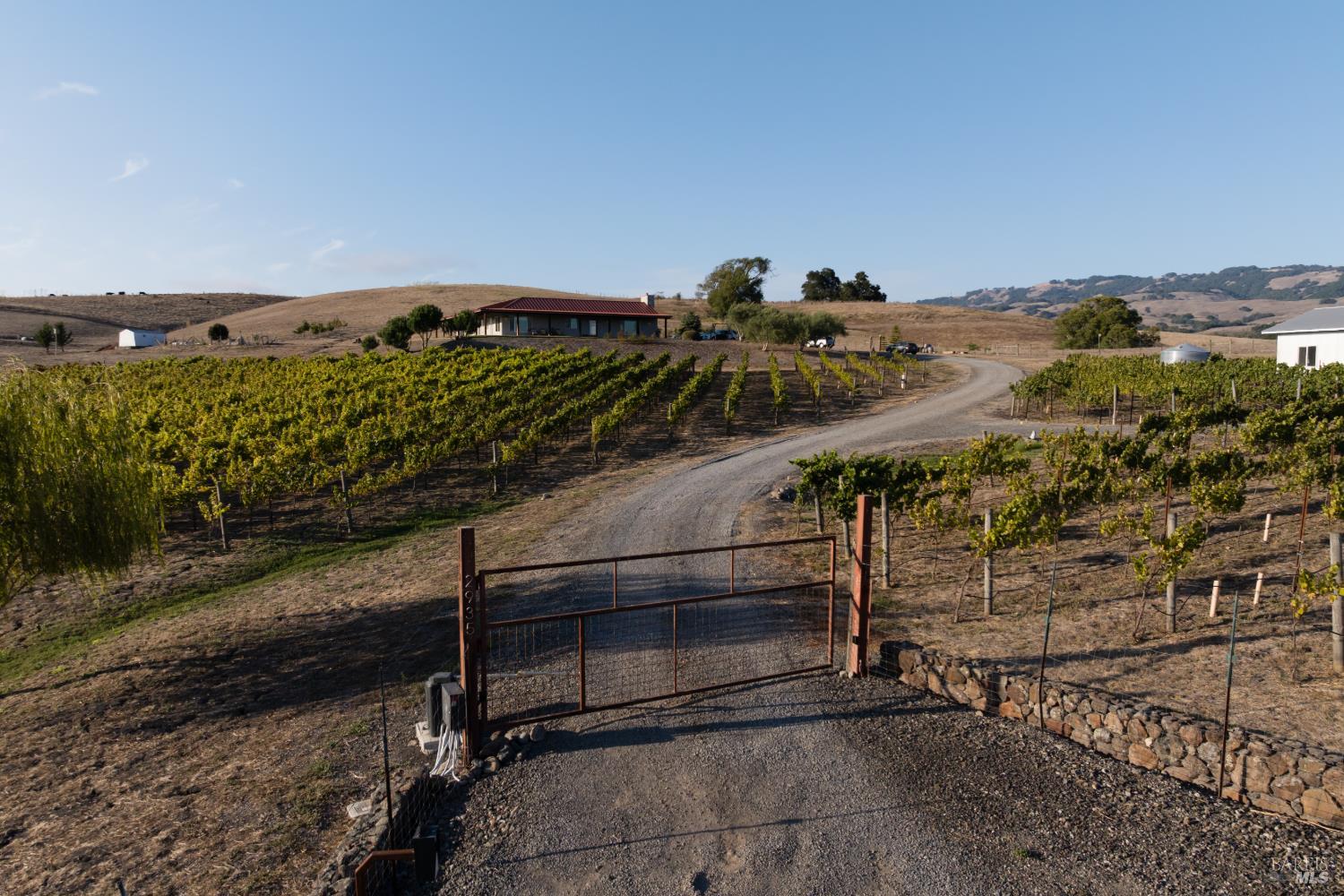 Petaluma CA 94954
