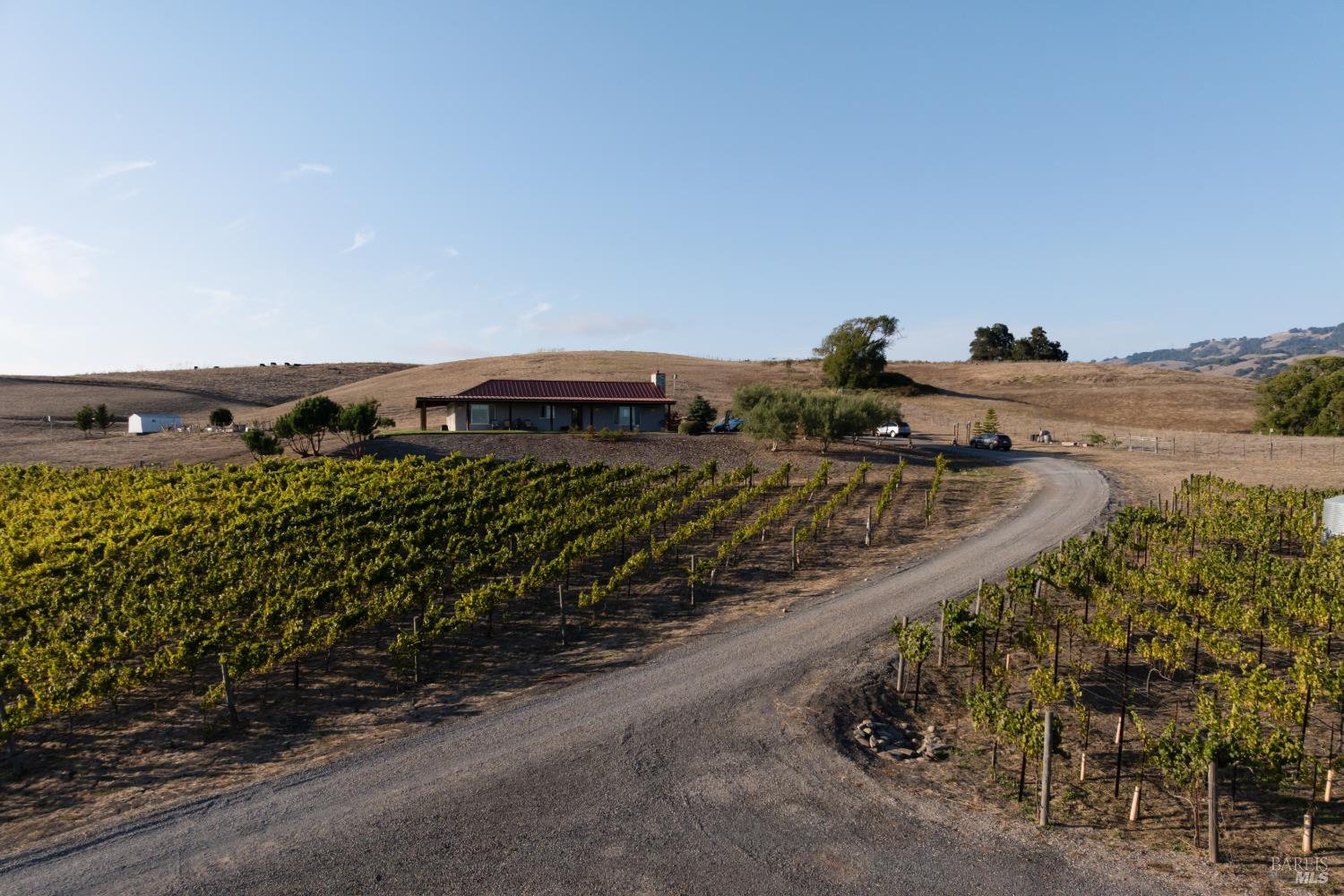 Petaluma CA 94954