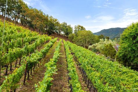 2550 Warm Springs Road Glen Ellen CA 95442