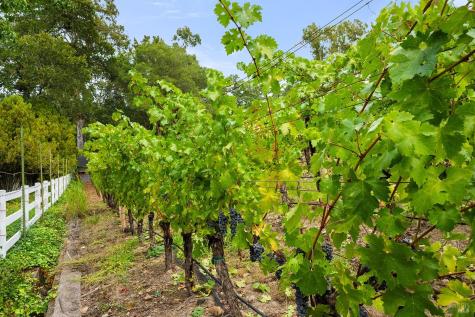 2550 Warm Springs Road Glen Ellen CA 95442