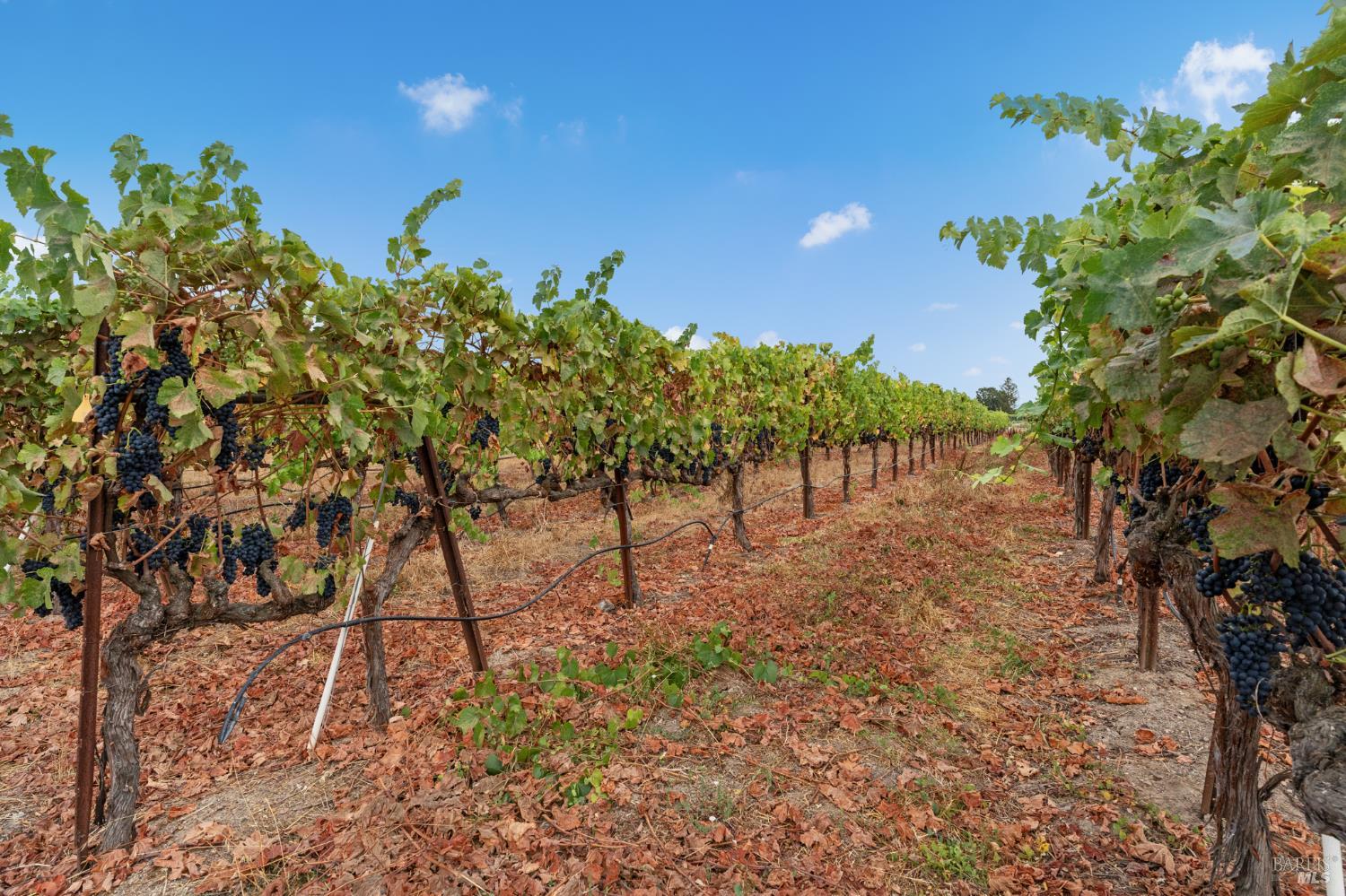 1626 Abramson Road Santa Rosa CA 95401