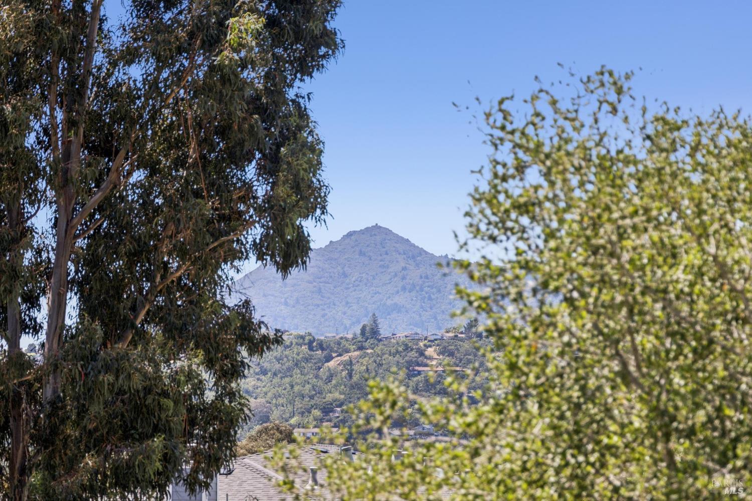 83 Vista Marin Drive San Rafael CA 94903