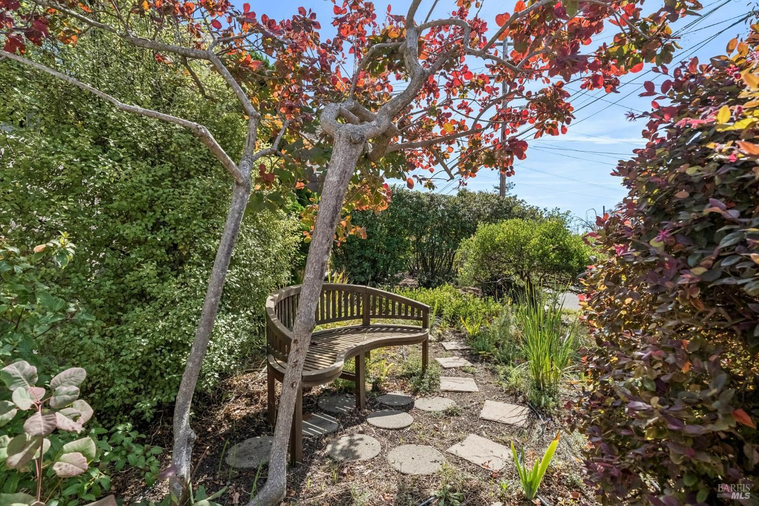 1033 Colusa Avenue Berkeley CA 94707