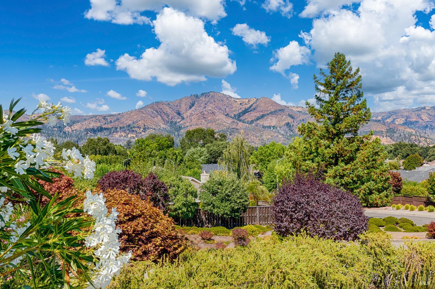435 Meadowgreen Drive Santa Rosa CA 95409