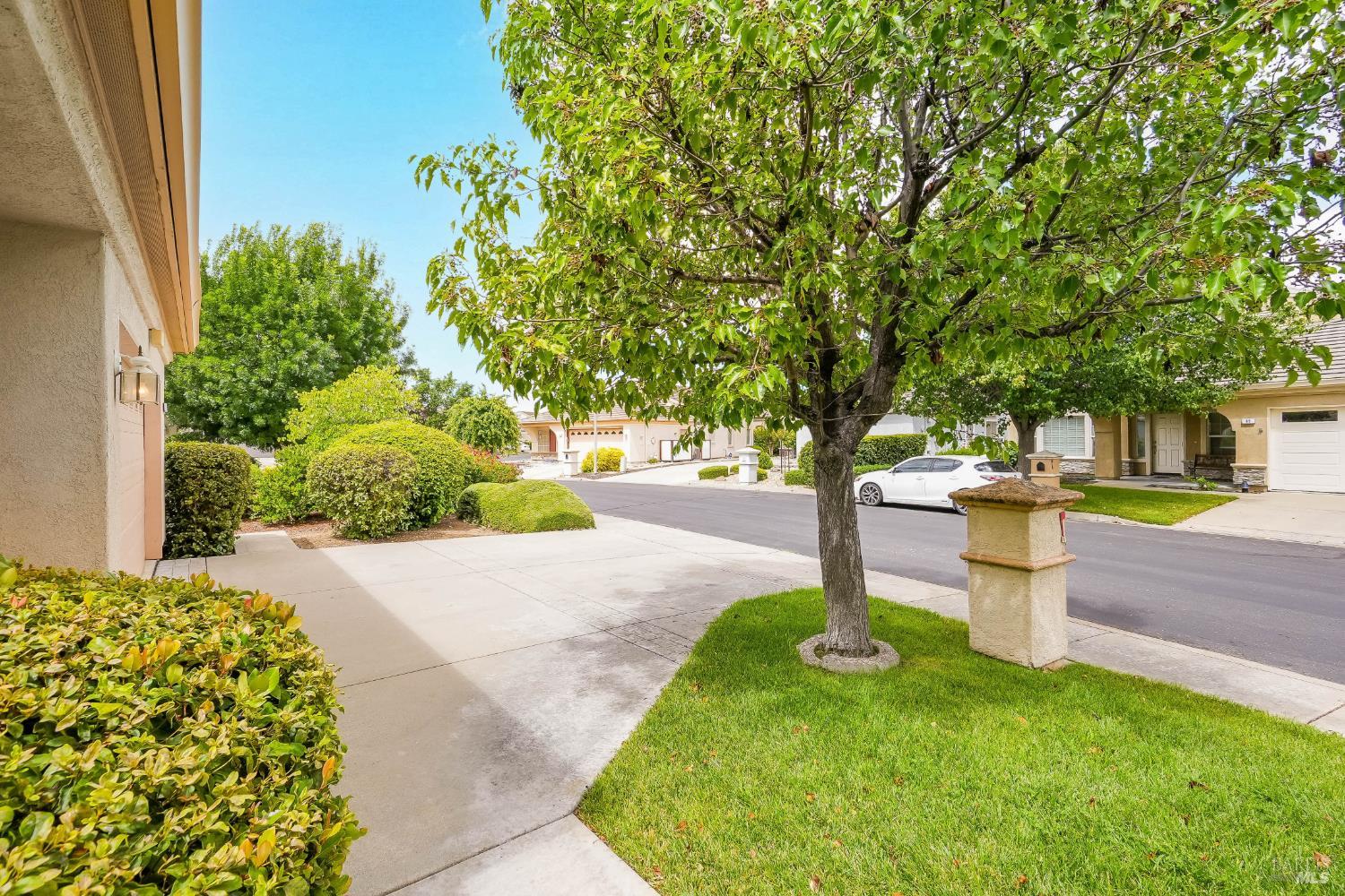 84 Spencer Way Brentwood CA 94513
