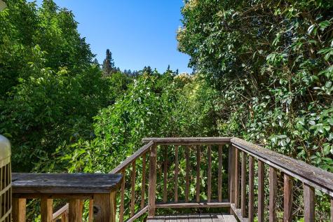 10590 Grays Road Forestville CA 95436