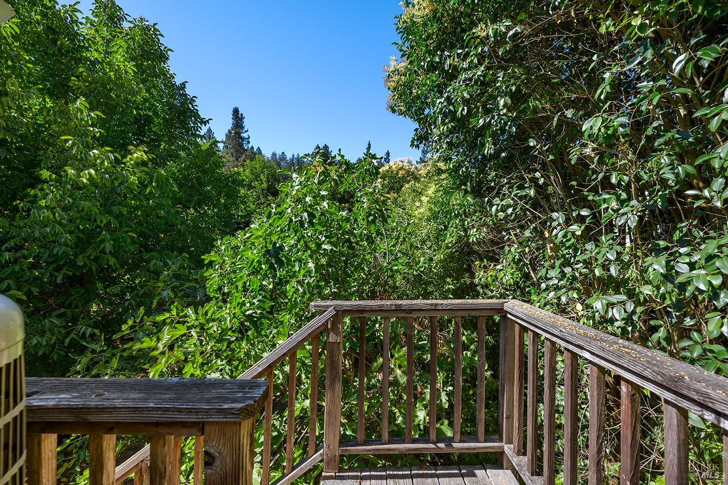 10590 Grays Road Forestville CA 95436