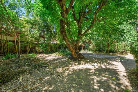 10590 Grays Road Forestville CA 95436