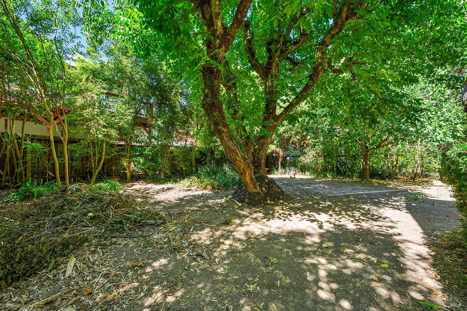 10590 Grays Road Forestville CA 95436