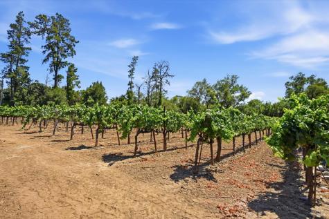 26069 River Road Cloverdale CA 95425