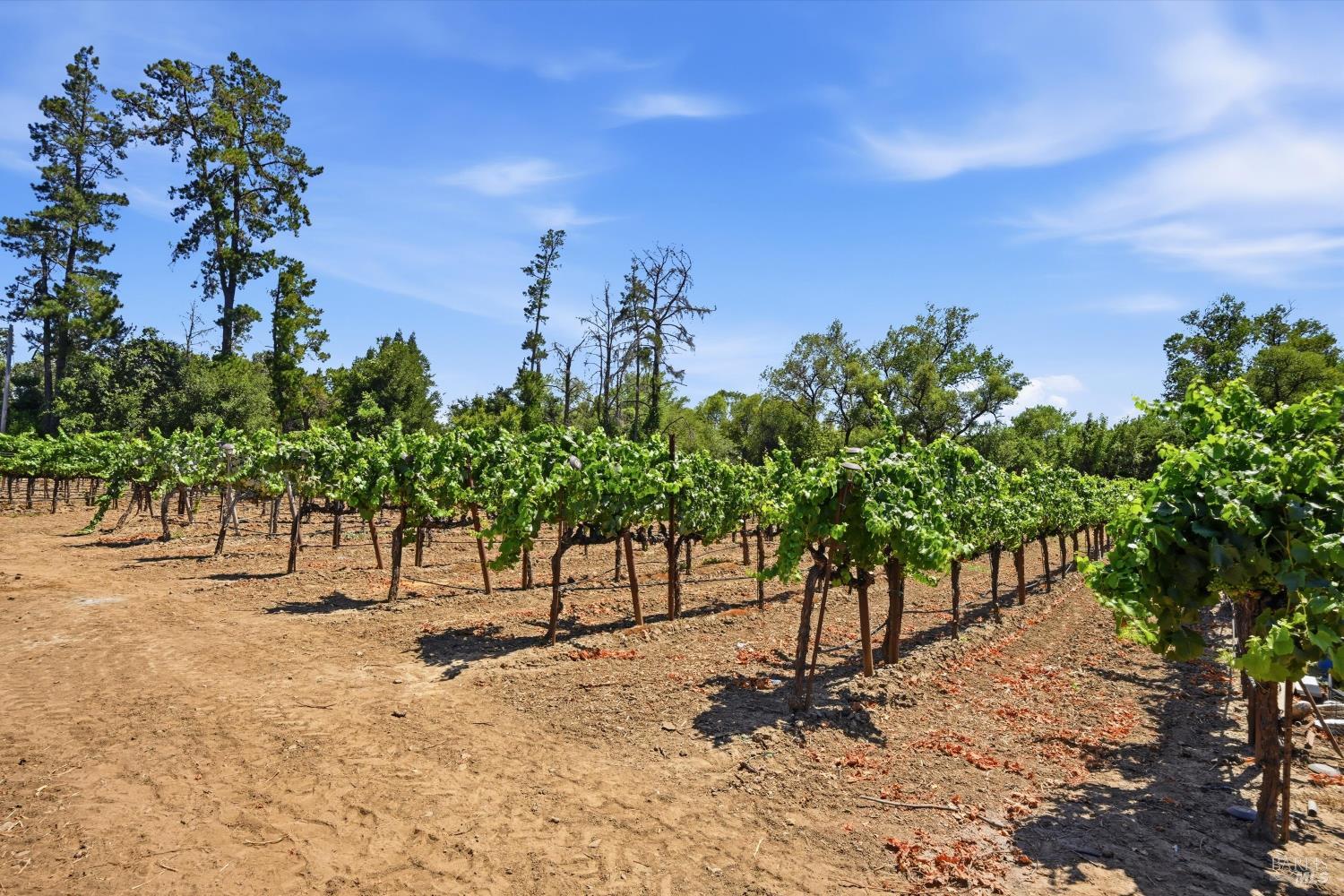 26069 River Road Cloverdale CA 95425