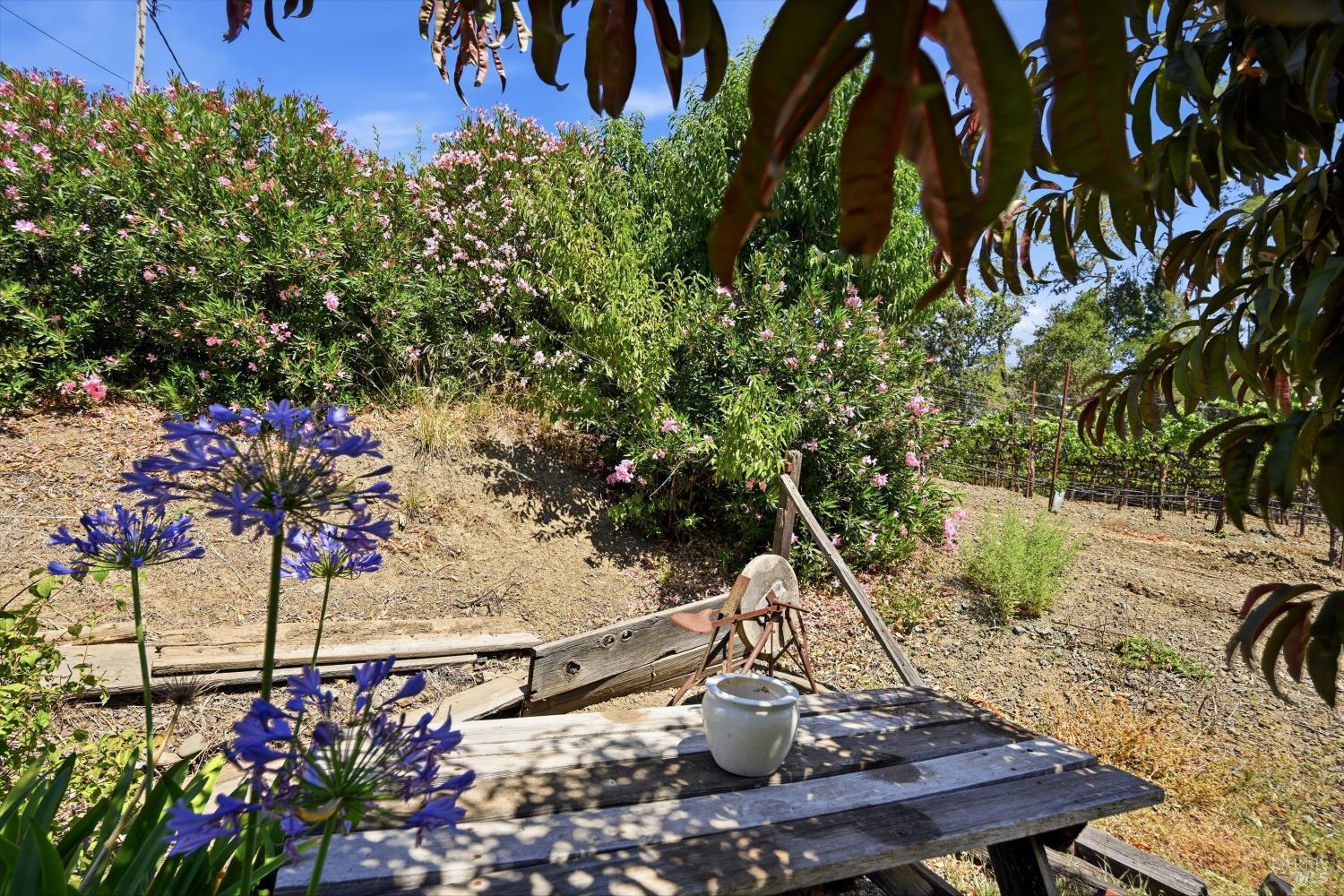 26069 River Road Cloverdale CA 95425