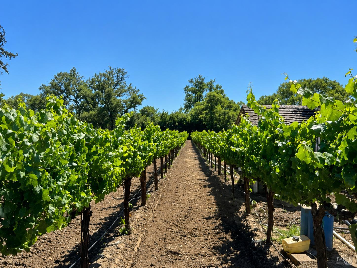 26069 River Road Cloverdale CA 95425