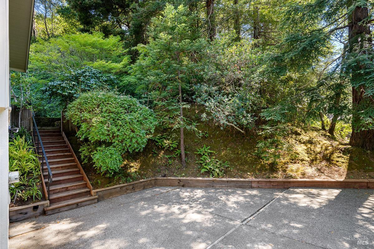 403 Woodland Road Kentfield CA 94904