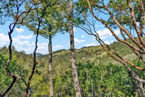 40 Los Pinos Nicasio CA 94946