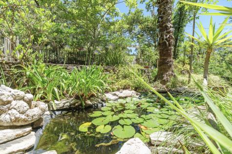 139 Scenic Road Fairfax CA 94930